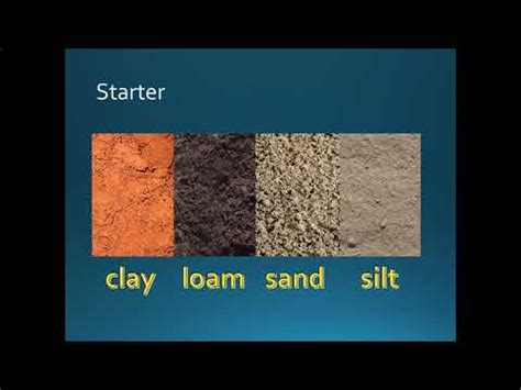 silt soil in tagalog|Translate silt soil in Tagalog with contextual examples .